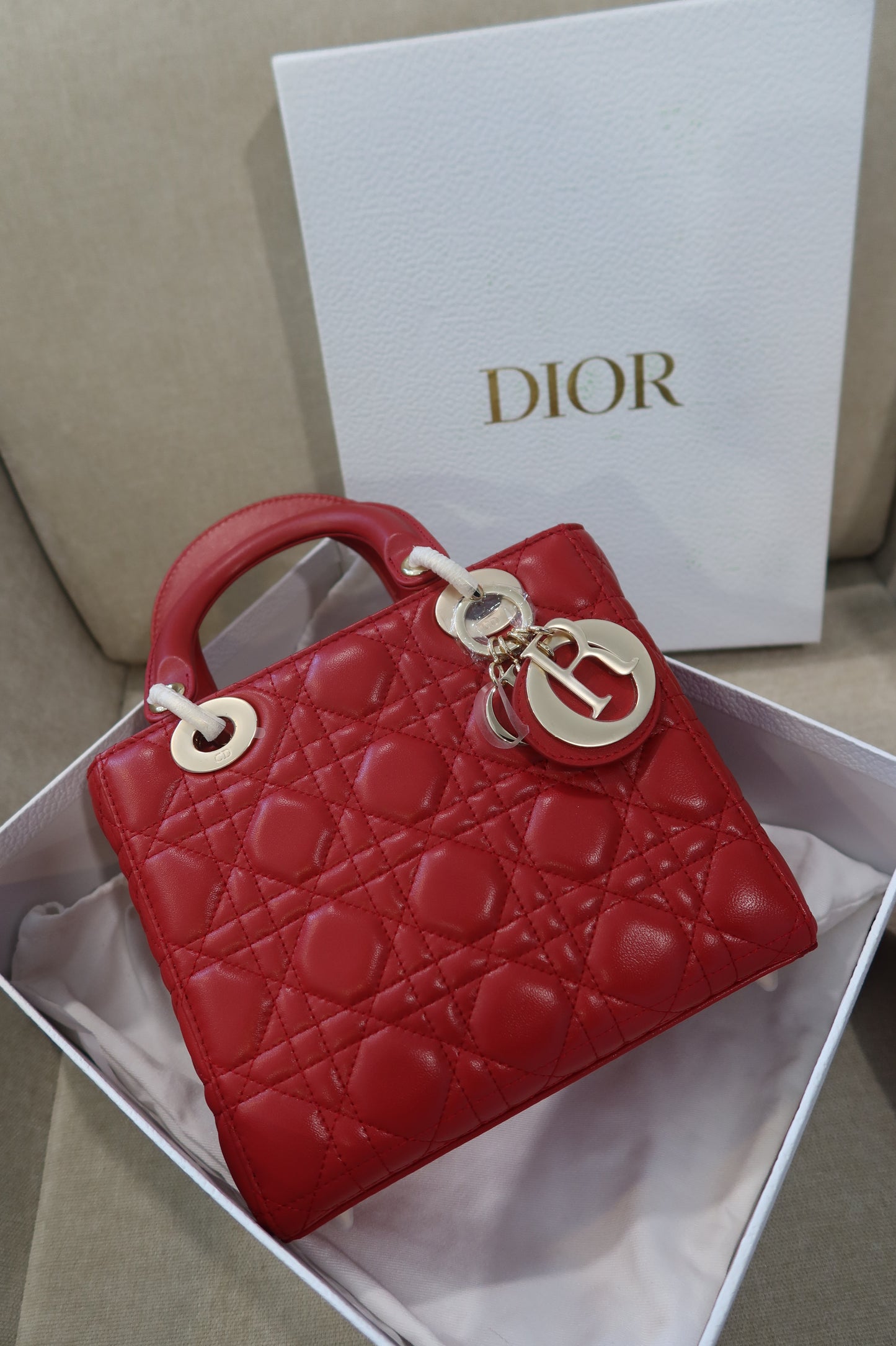 BOLSA DR