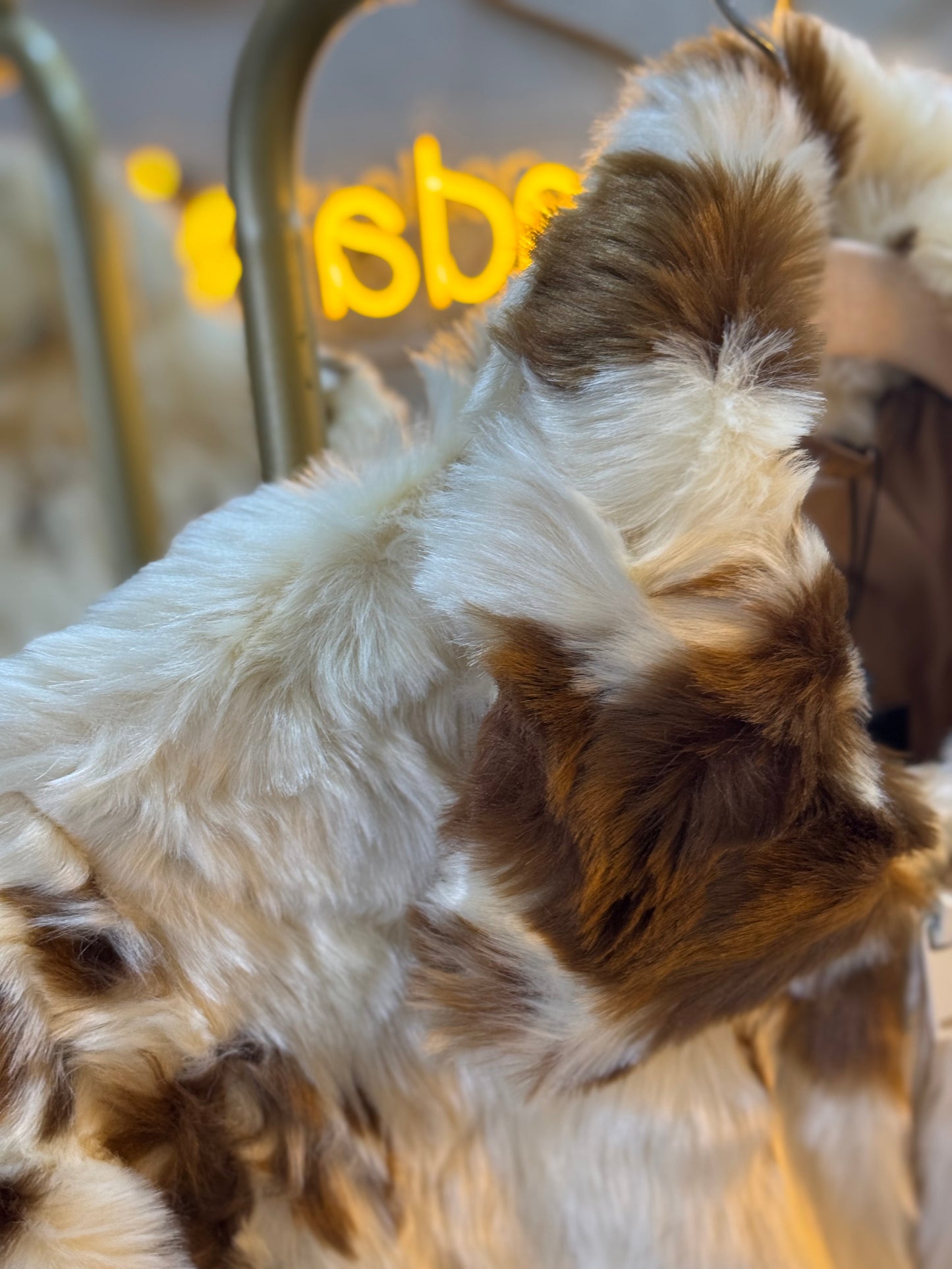 Blazer peluche café