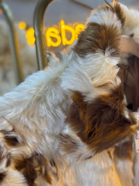 Blazer peluche café