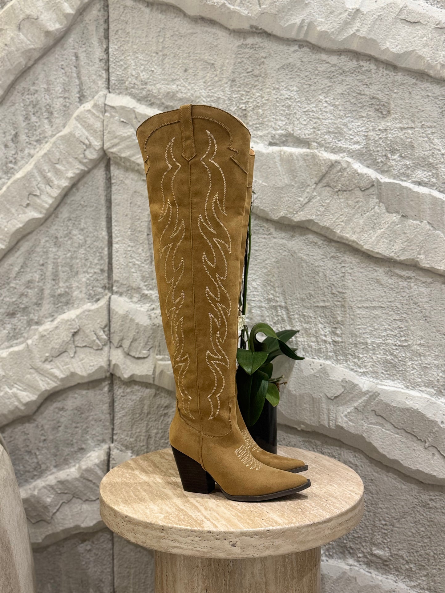 BOTA VAQUERA NUDE ABBY