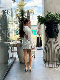 Falda plata