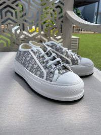 Tenis Dior gris