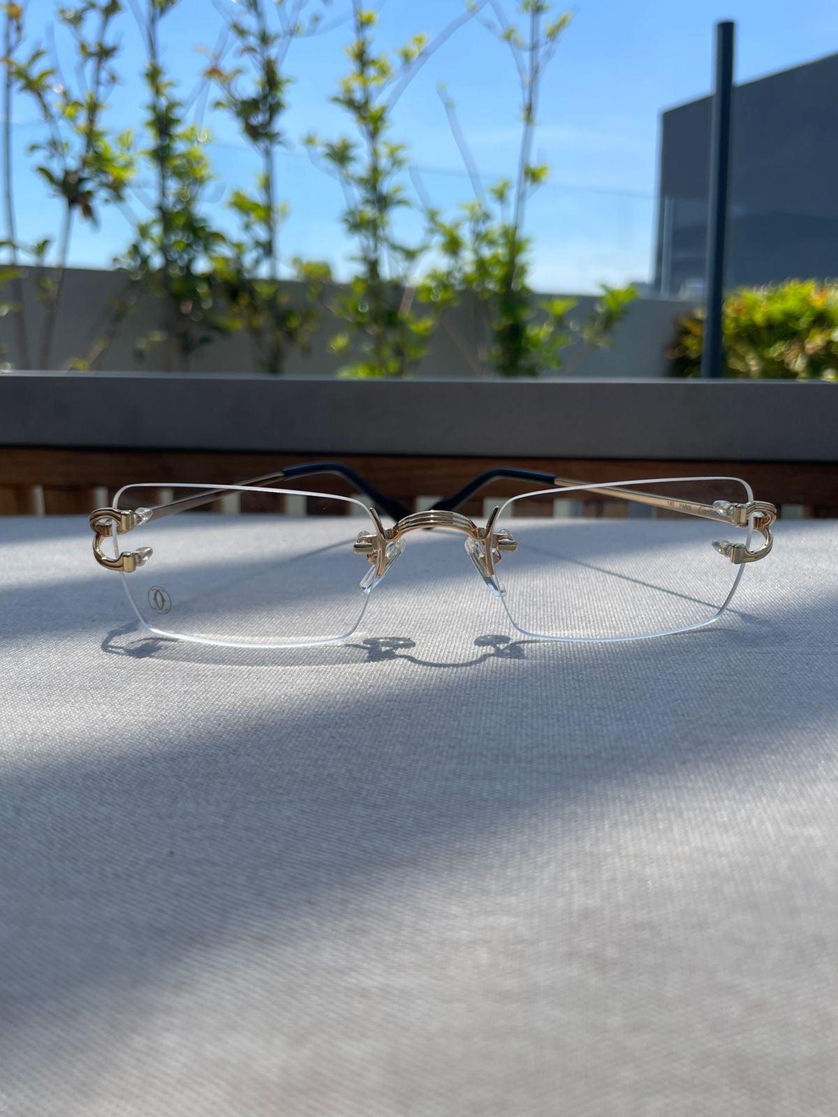 Lentes de sol trasparente