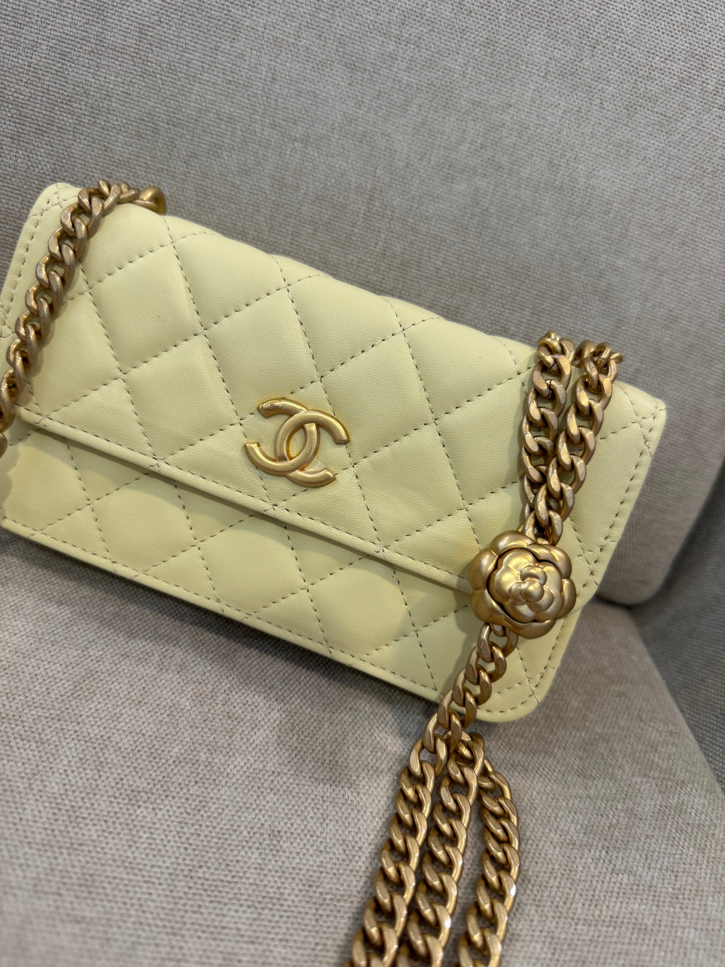 Cartera amarilla CHNL