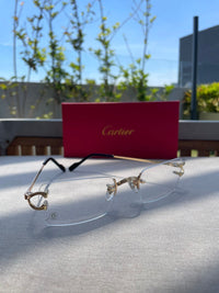Lentes de sol trasparente