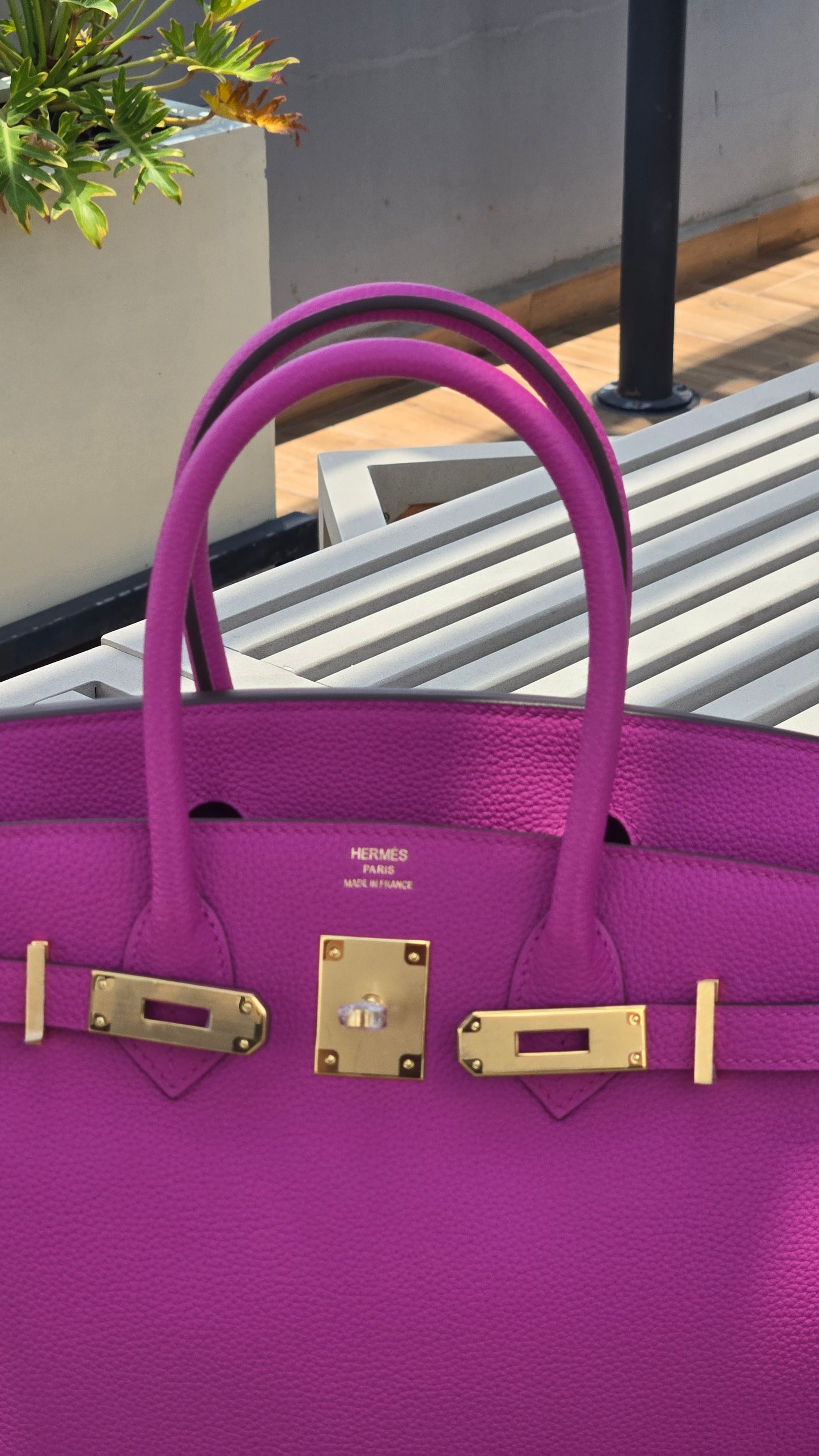 Bolsa lila